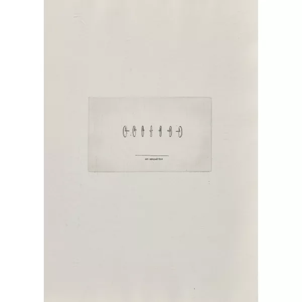 Markus Raetz — "Zum Kopfschütteln".