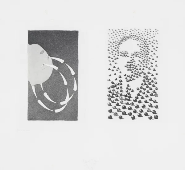 Markus Raetz — Défense d'y voir I / Raymond Roussel, aus "Impressions d'impressions d'Afrique", 1980