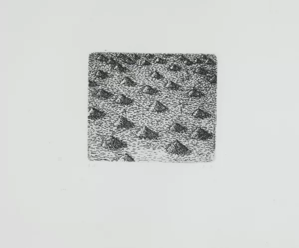Markus Raetz — Häufchen, 1970