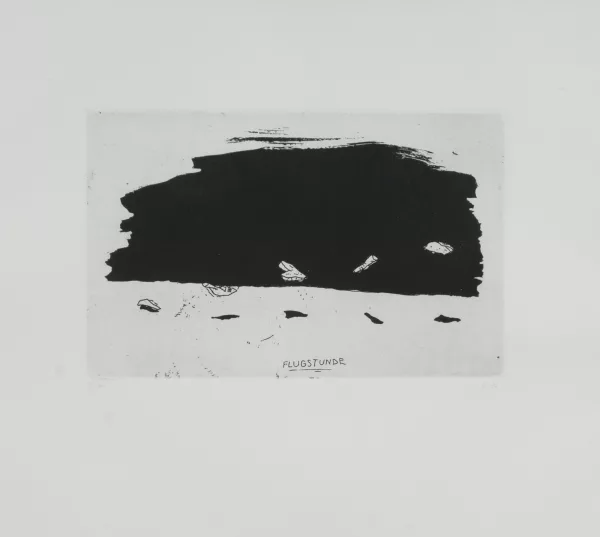 Markus Raetz — Flugstunde, 1970