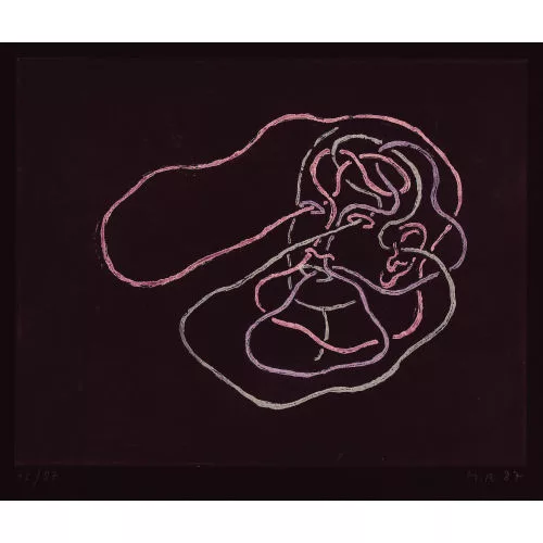 Markus Raetz — Sinne.
