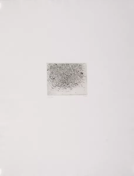 Markus Raetz — Gnuusch, 1971