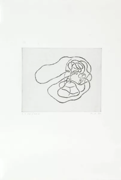 Markus Raetz — 2 Blätter: Blatt aus Kassette "Zürcher Kunstgesellschaft", 1987; Ohne Titel, 1979