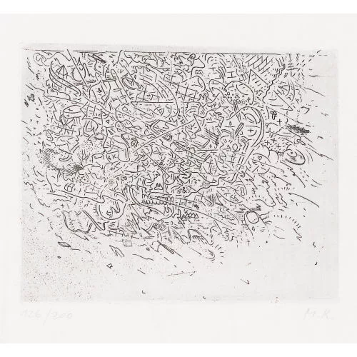 Markus Raetz — Gnuusch.