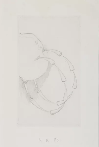 Markus Raetz — Defense d'y voir II, 1980