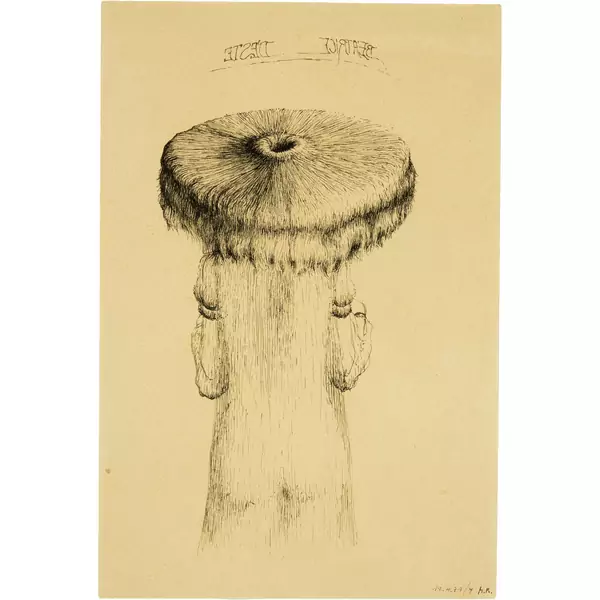 Markus Raetz — Beatrice d'Este — Galerie Kornfeld