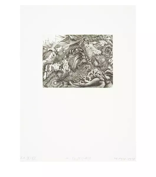 Markus Raetz — Zwei Pole — Galerie Kornfeld