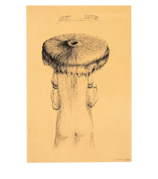 Markus Raetz — Beatrice d'Este — Galerie Kornfeld