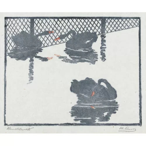 Martha Cunz — Schwarze Schwäne.