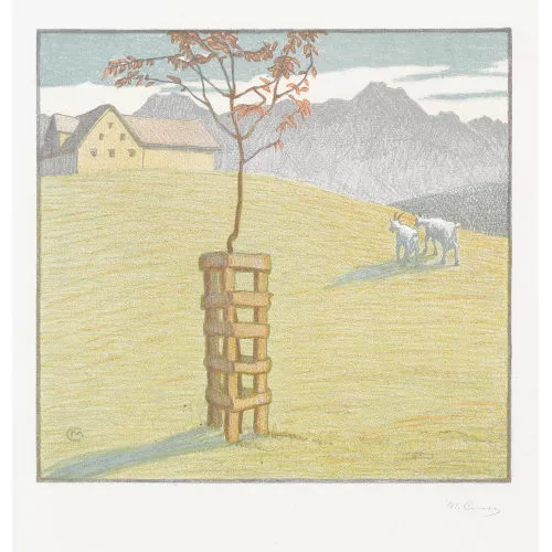 Martha Cunz — Konvolut.