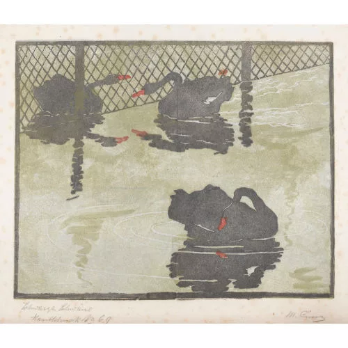 Martha Cunz — "Schwarze Schwäne".