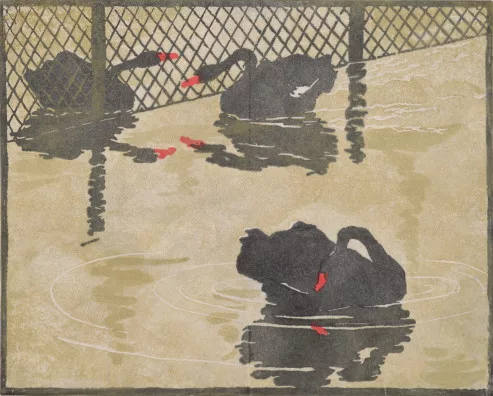 Martha Cunz — Schwarze Schwäne, 1904