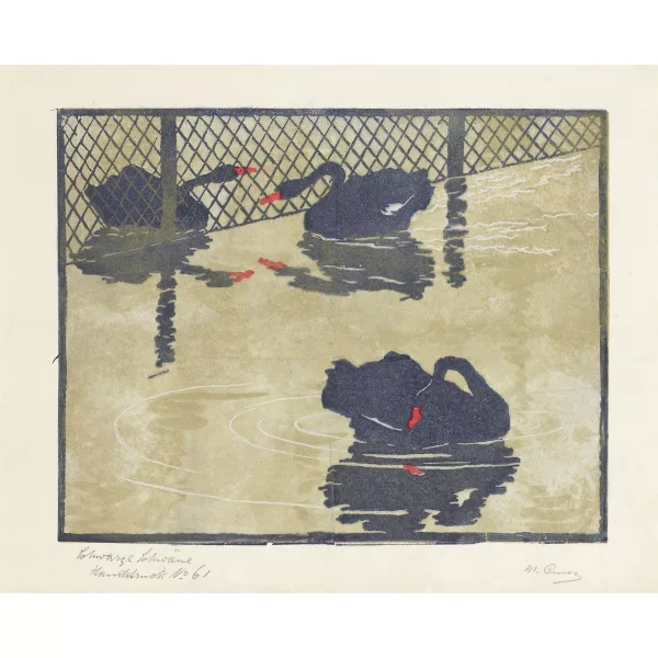 Martha Cunz — SCHWARZE SCHWÄNE BLACK SWANS