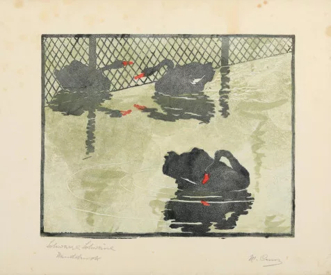 Martha Cunz — Schwarze Schwäne, 1904