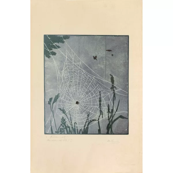 Martha Cunz — SPINNENNETZ SPIDER'S WEB