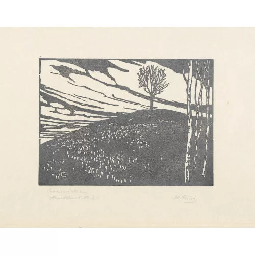 Martha Cunz — "Crocuswiese".