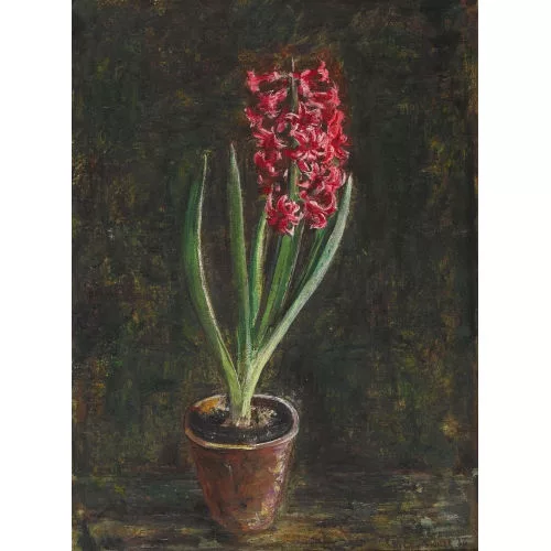 Martin Lauterburg — Stillleben mit Hyazinthe im Blumentopf.