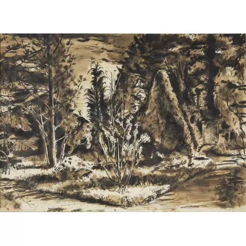 Waldlichtung