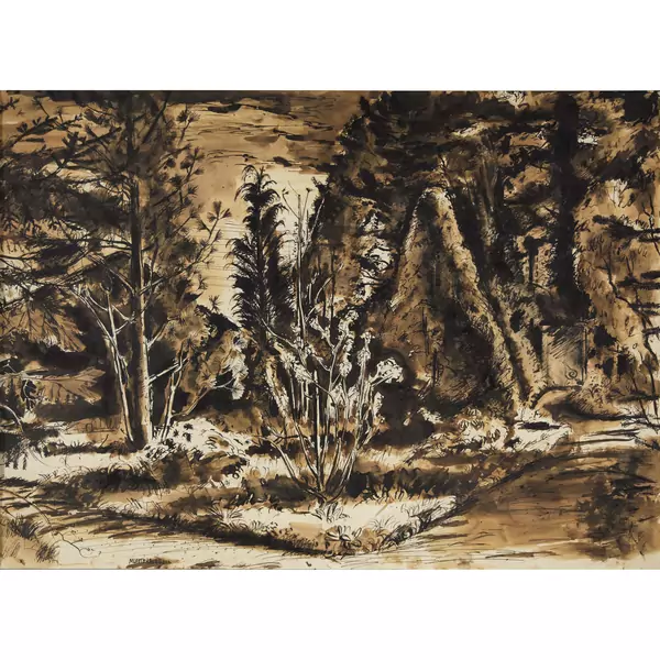 Waldlichtung
