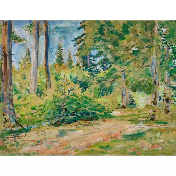 Waldlichtung