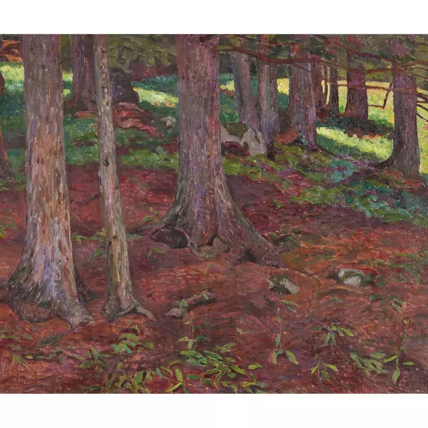Baumstämme im Wald