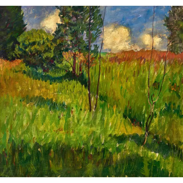 Sommerliche Landschaft