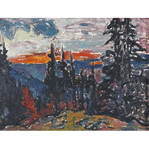 Expressives Waldstück bei Sonnenuntergang