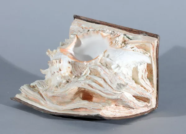Martin Schwarz — Meeresstille, 2010