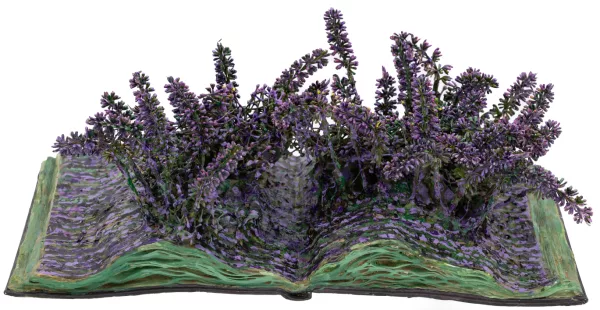 Martin Schwarz — Blumenbuch auf violett-grünem Grund