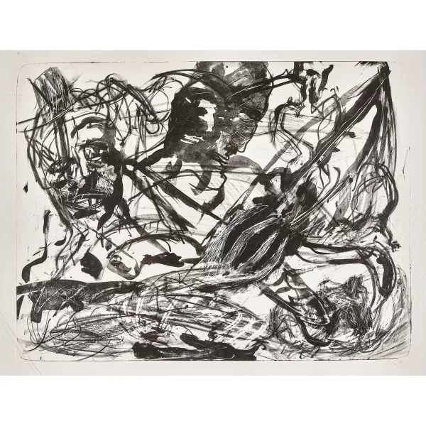 Martin Disler — "Ein schwarzes Loch im Traum".