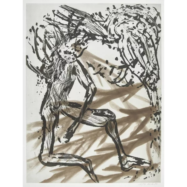 Martin Disler — "Museum of desire".
