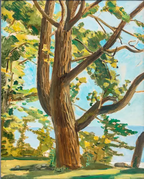 Le grand arbre