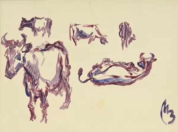 Etude de bovins