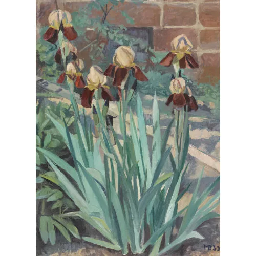 Max Böhlen — Schwertlilien im Garten.