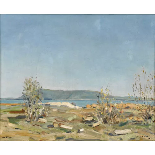 Max Böhlen — Ufer am Neuenburgersee.
