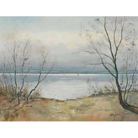 Am Neuenburgersee