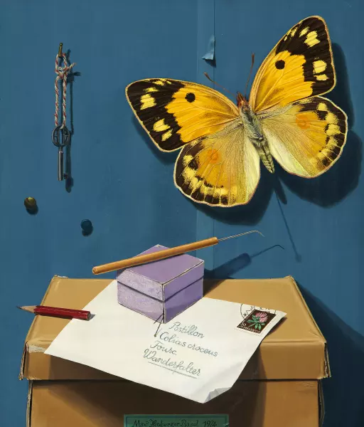 Postillon Colias Croceus