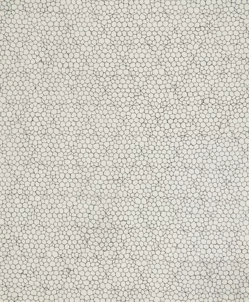 Gitter