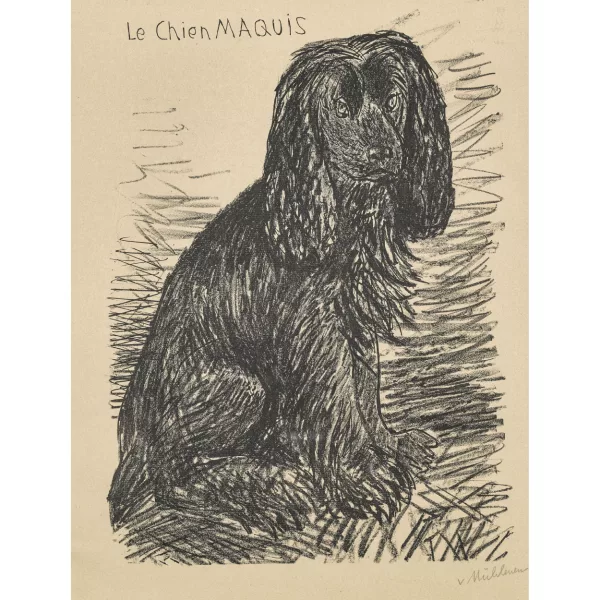 Max von Mühlenen — "Le chien Maquis".