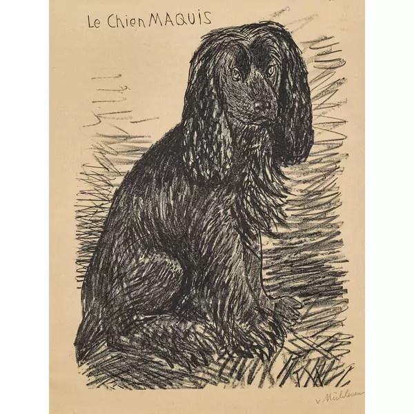 "Le chien Maquis"