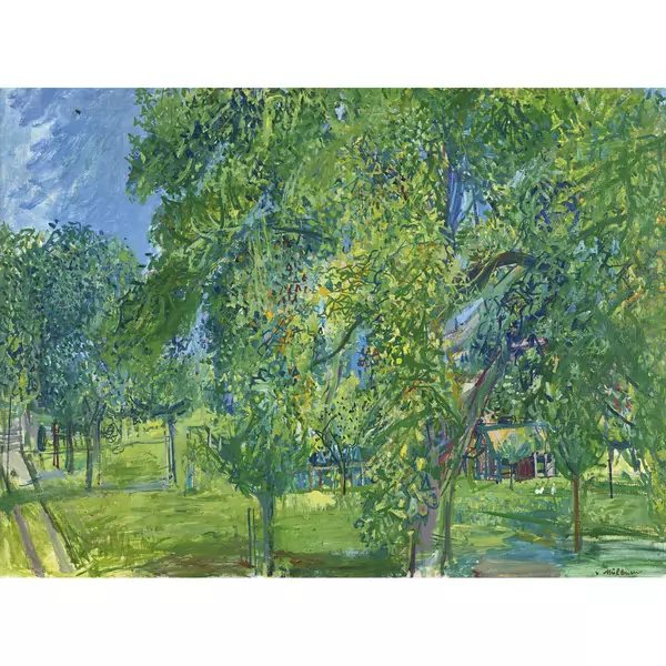 Sommerliche Landschaft mit Bäumen