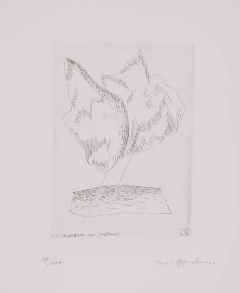 Meret Oppenheim — Nuages sur continent, 1964