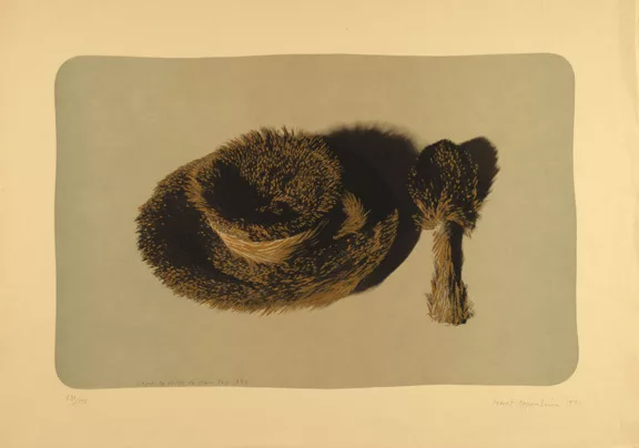 Meret Oppenheim — Pelztasse (D'Après la photo de Man Ray 1936), 1971