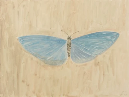 Blauer Schmetterling, 1960