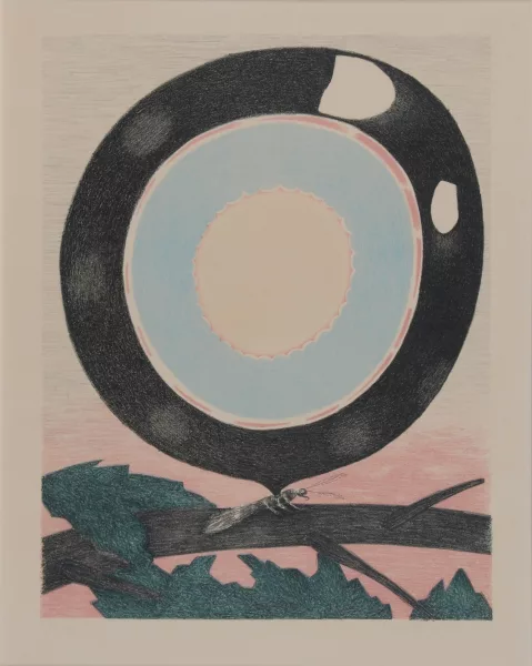 Meret Oppenheim — Portfolio. Parapapillonneries, 1975
