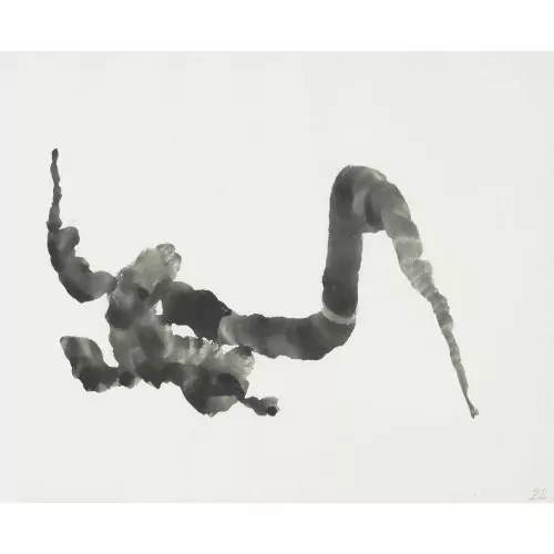 "Verkohlter Drache"