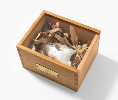 Meret Oppenheim — Juni 2021 (A161) - Auktionsstart: 18.6.2021, 13:15 — Schuler Auktionen