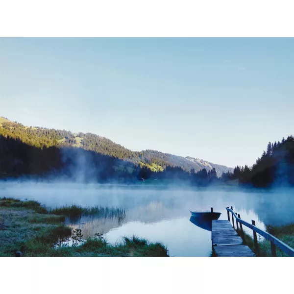 Michel Comte — "Am Lauenensee".