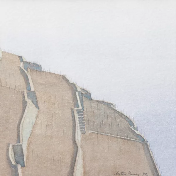 Michel Tenthorey — Vignobles dans le Lavaux