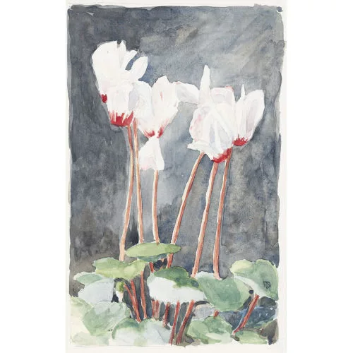 Mili Weber — Alpenveilchen.